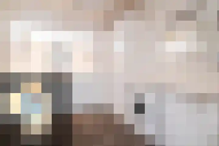 Langeweg 12 Rockanje thumbnail 34