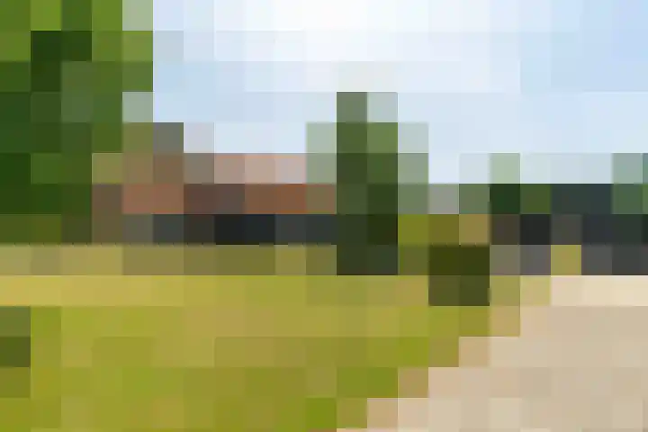 Langeweg 12 Rockanje thumbnail 4