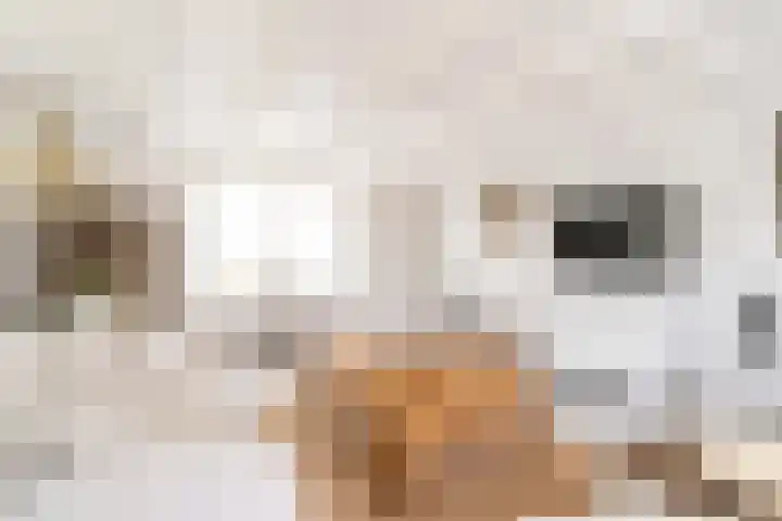 Langeweg 12 Rockanje thumbnail 40