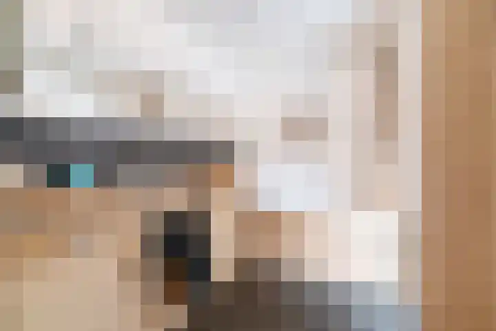 Langeweg 12 Rockanje thumbnail 43