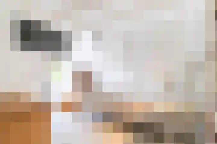 Langeweg 12 Rockanje thumbnail 53