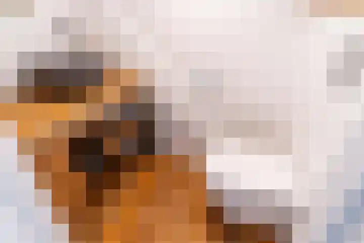 Langeweg 12 Rockanje thumbnail 60