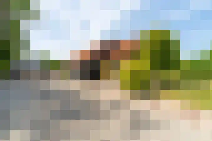 Langeweg 12 Rockanje thumbnail 61