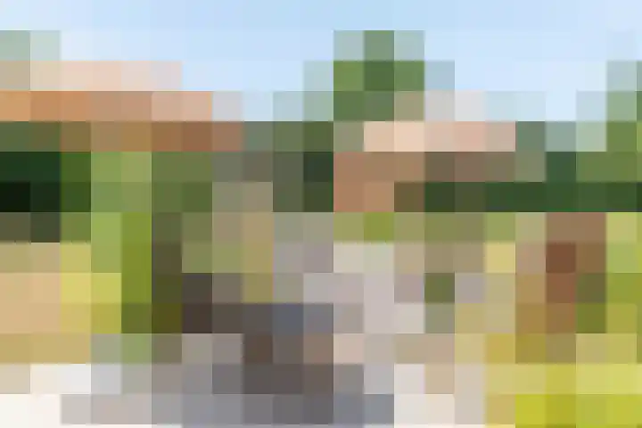 Langeweg 12 Rockanje thumbnail 70