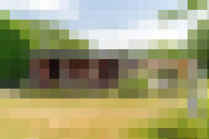 Langeweg 12 Rockanje thumbnail 71