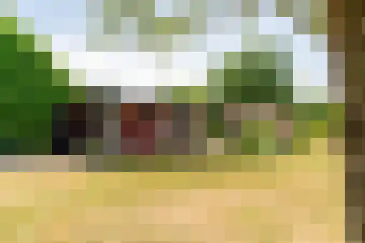 Langeweg 12 Rockanje thumbnail 74
