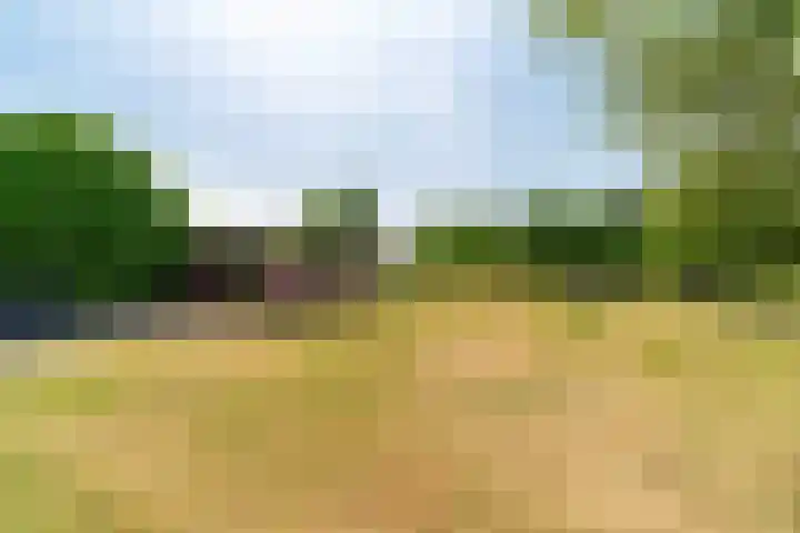 Langeweg 12 Rockanje thumbnail 75
