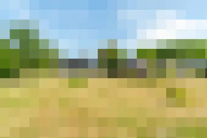 Langeweg 12 Rockanje thumbnail 76