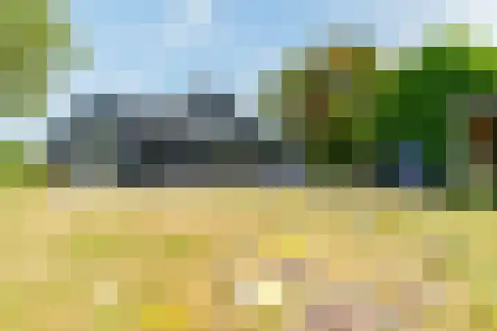 Langeweg 12 Rockanje thumbnail 79