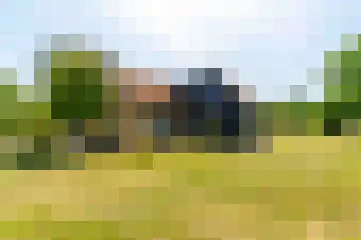 Langeweg 12 Rockanje thumbnail 84