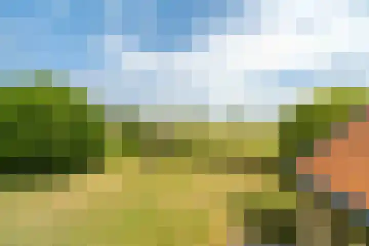 Langeweg 12 Rockanje thumbnail 85