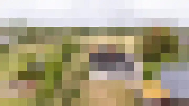 Langeweg 12 Rockanje thumbnail 86