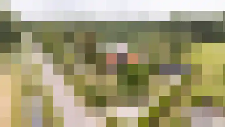 Langeweg 12 Rockanje thumbnail 87