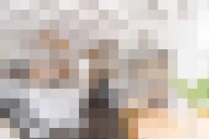 Langeweg 12 Rockanje thumbnail 9