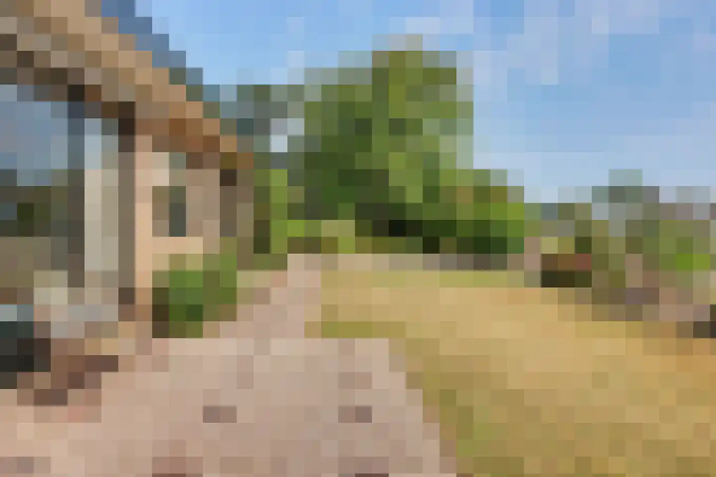 Langeweg 14 Rockanje thumbnail 4