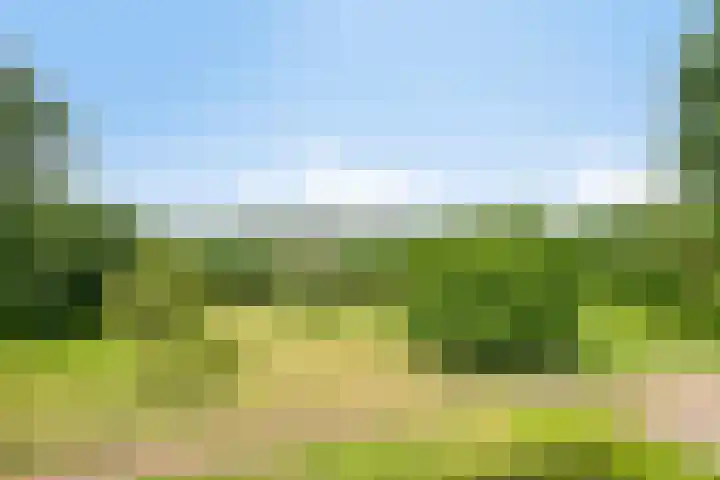 Langeweg 14 Wilhelminadorp thumbnail 10