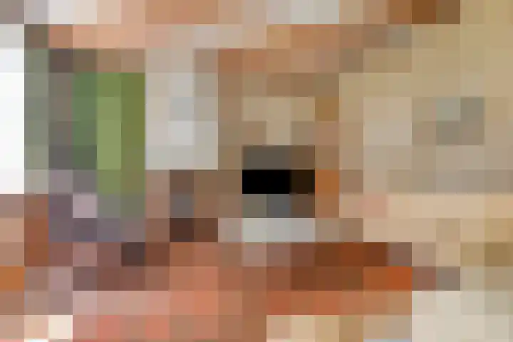 Langeweg 14 Wilhelminadorp thumbnail 12