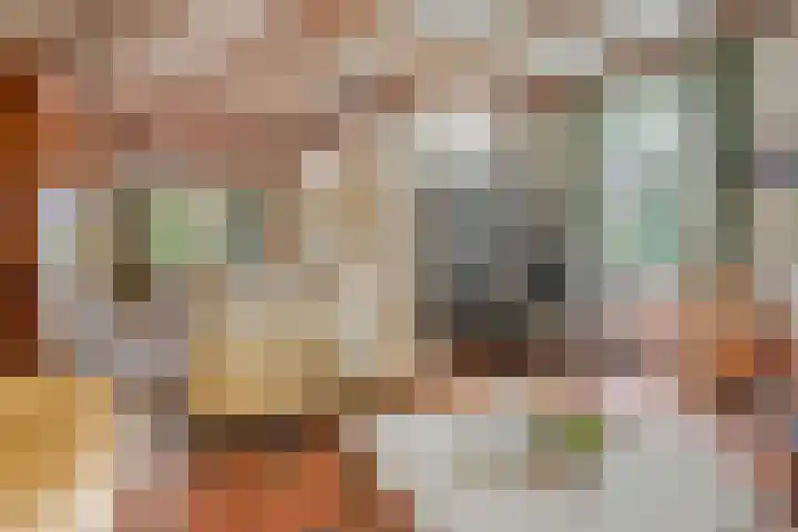 Langeweg 14 Wilhelminadorp thumbnail 13