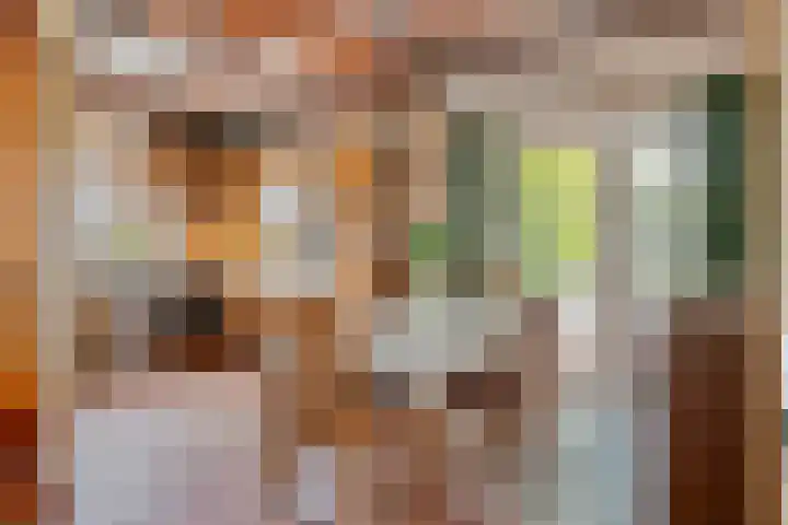 Langeweg 14 Wilhelminadorp thumbnail 14