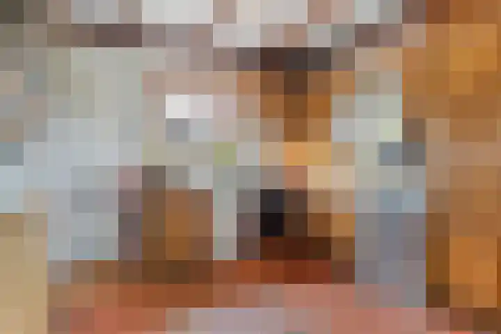 Langeweg 14 Wilhelminadorp thumbnail 17