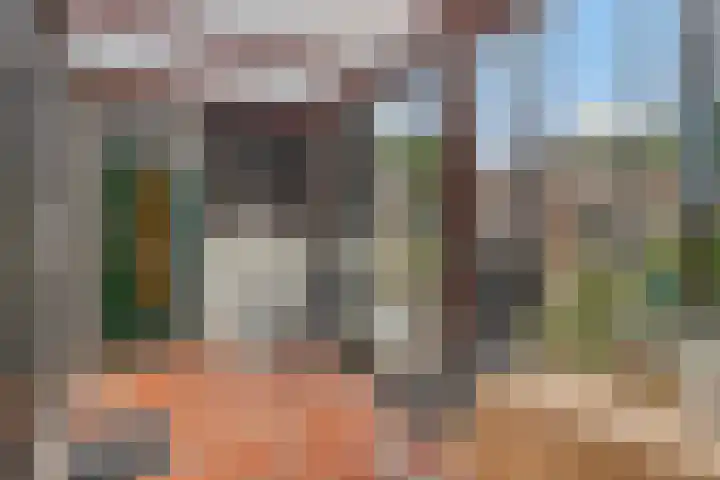 Langeweg 14 Wilhelminadorp thumbnail 25