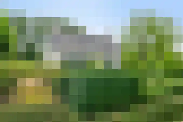 Langeweg 14 Wilhelminadorp thumbnail 33
