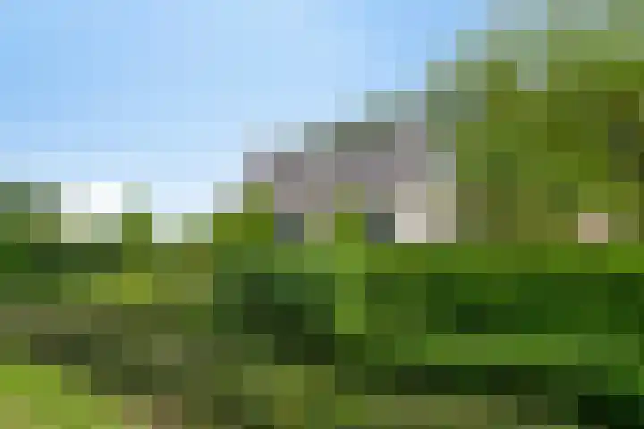 Langeweg 14 Wilhelminadorp thumbnail 34