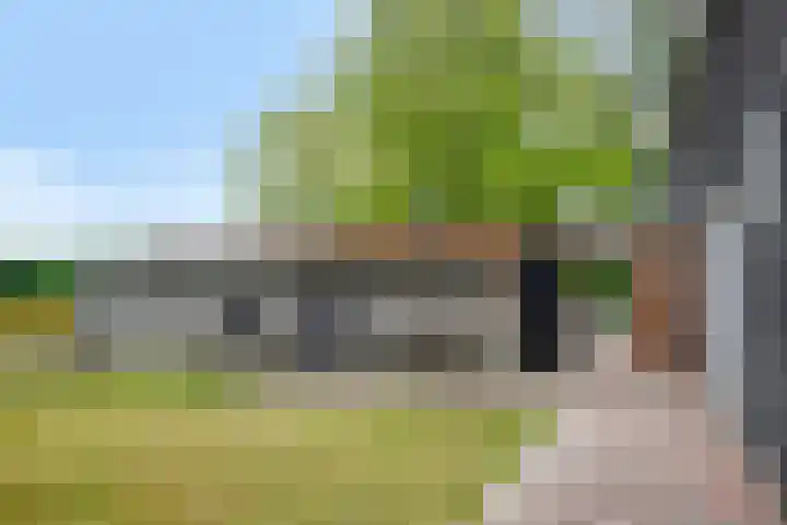 Langeweg 14 Wilhelminadorp thumbnail 36