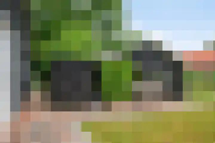 Langeweg 14 Wilhelminadorp thumbnail 37