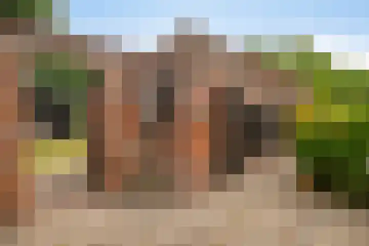 Langeweg 14 Wilhelminadorp thumbnail 38
