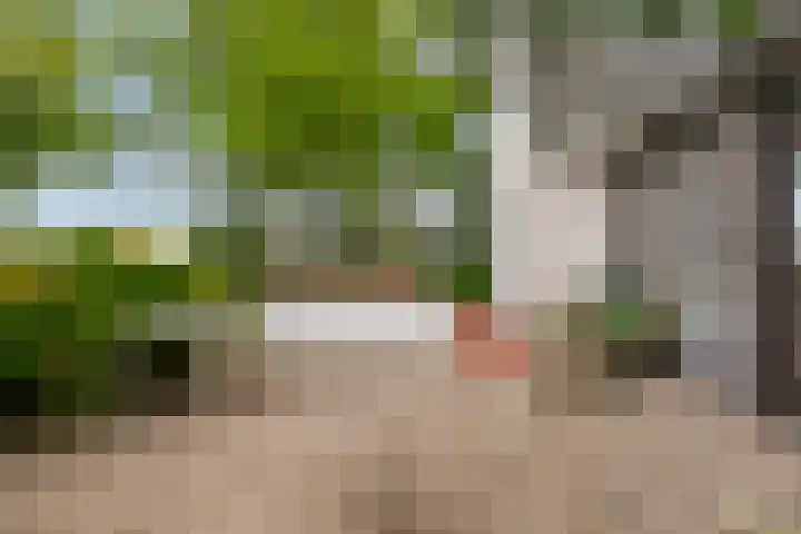 Langeweg 14 Wilhelminadorp thumbnail 39