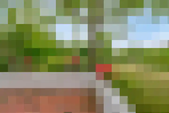 Langeweg 14 Wilhelminadorp thumbnail 40