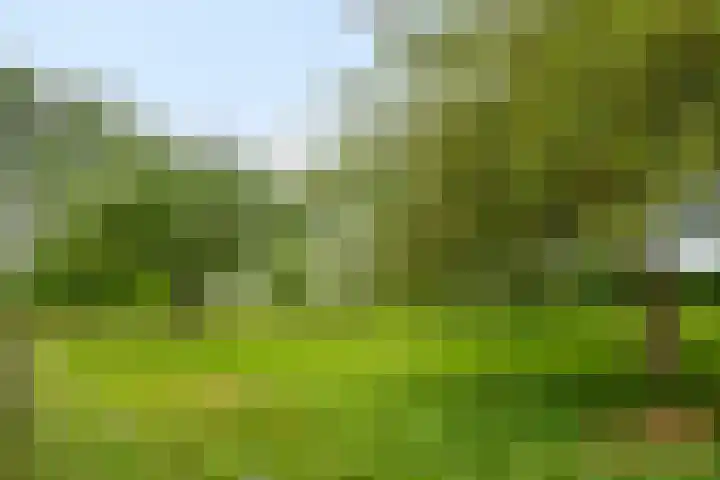 Langeweg 14 Wilhelminadorp thumbnail 42