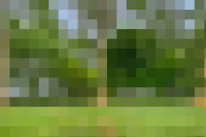 Langeweg 14 Wilhelminadorp thumbnail 43