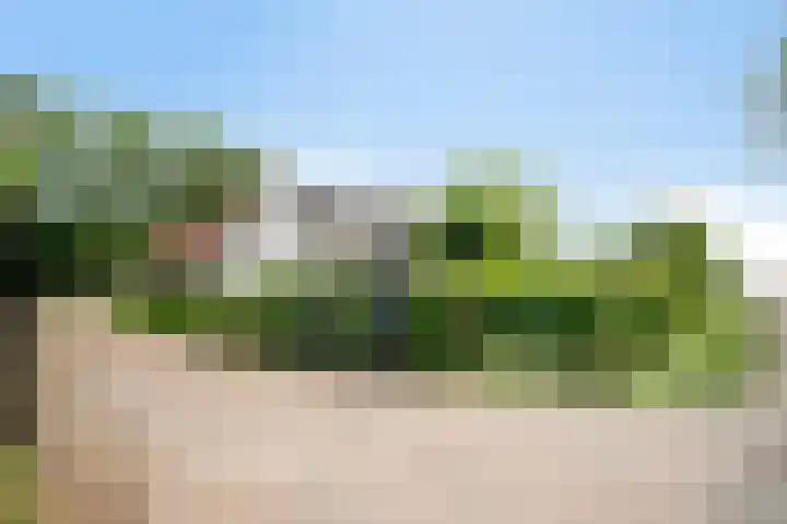 Langeweg 14 Wilhelminadorp thumbnail 48