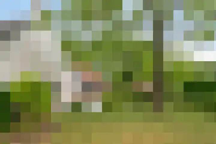 Langeweg 14 Wilhelminadorp thumbnail 5