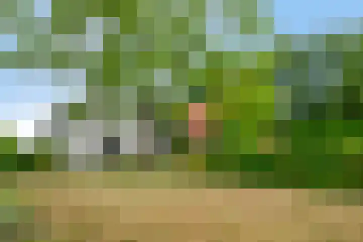 Langeweg 14 Wilhelminadorp thumbnail 6