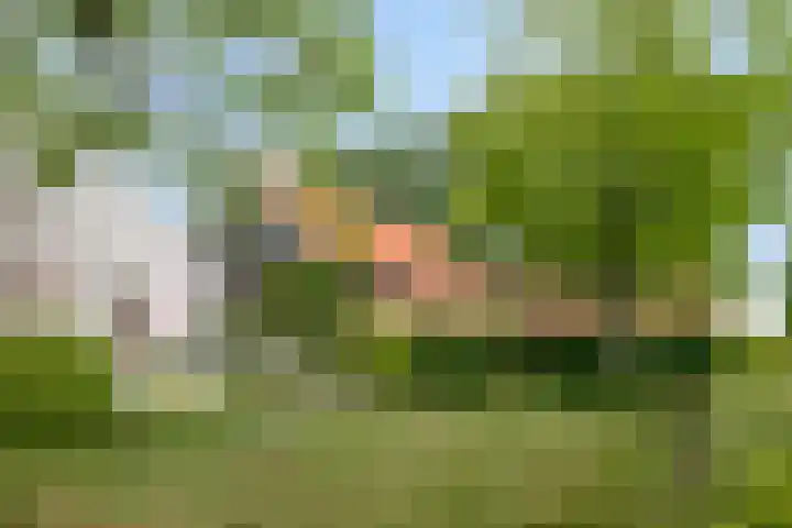 Langeweg 14 Wilhelminadorp thumbnail 7