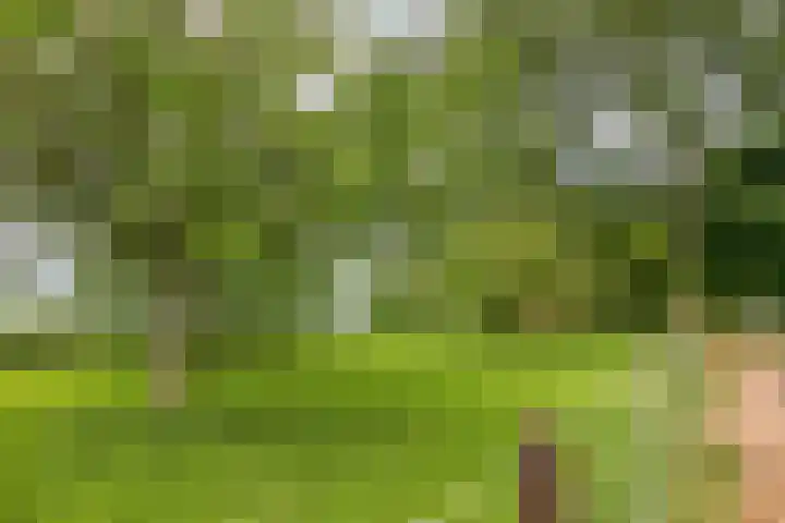 Langeweg 14 Wilhelminadorp thumbnail 8