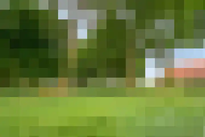 Langeweg 14 Wilhelminadorp thumbnail 9