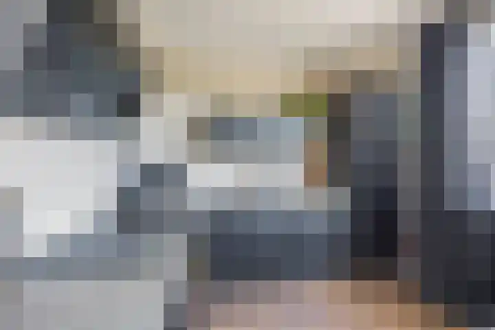 Langeweg 148 Middelharnis thumbnail 12