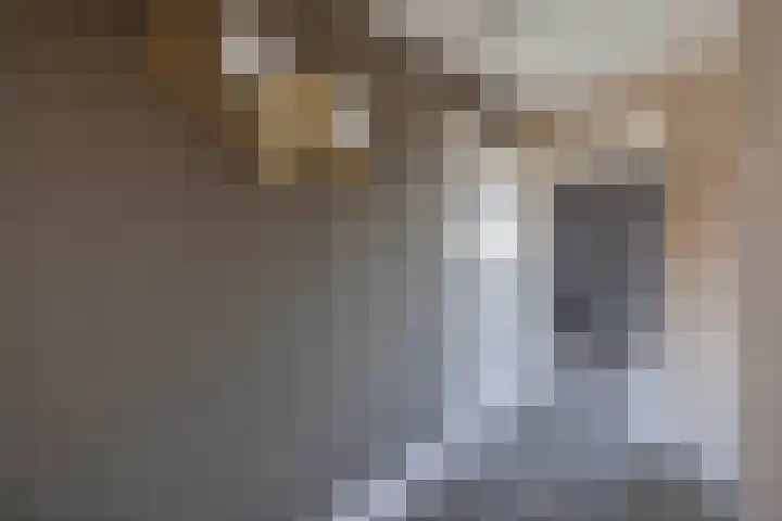 Langeweg 148 Middelharnis thumbnail 16