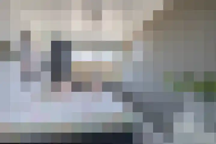 Langeweg 148 Middelharnis thumbnail 19