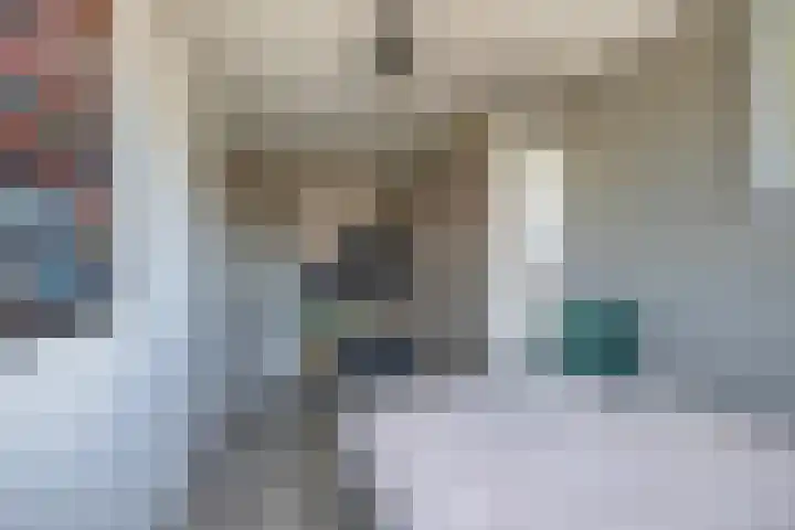 Langeweg 148 Middelharnis thumbnail 21