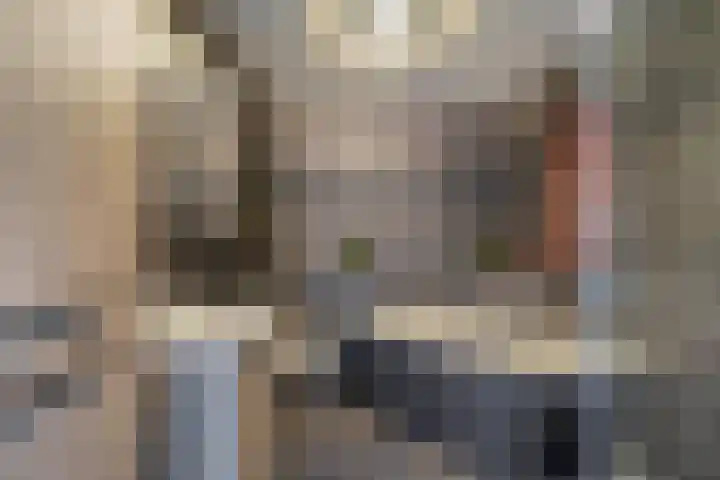 Langeweg 148 Middelharnis thumbnail 22