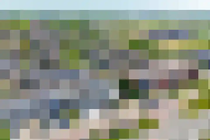 Langeweg 148 Middelharnis thumbnail 29