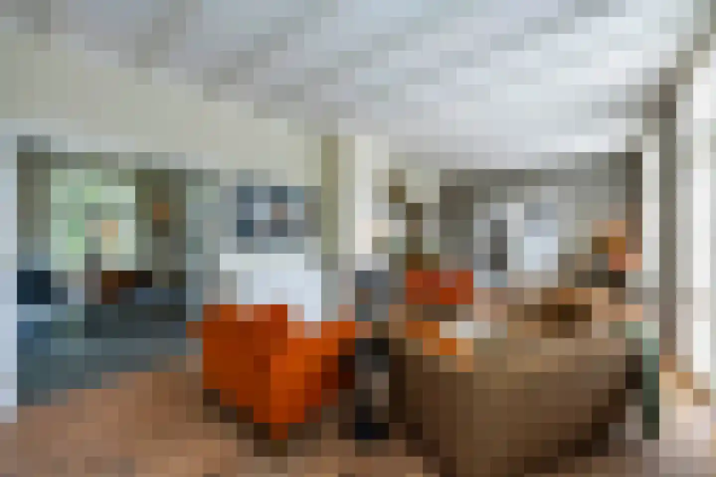 Langeweg 15 Blaricum thumbnail 11