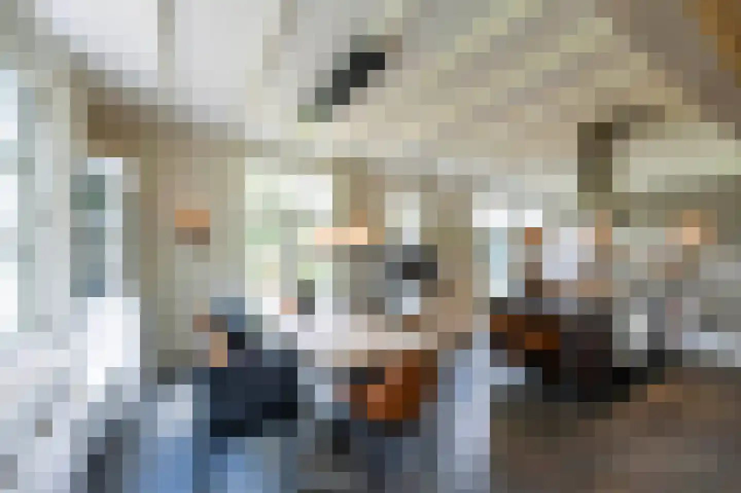 Langeweg 15 Blaricum thumbnail 13