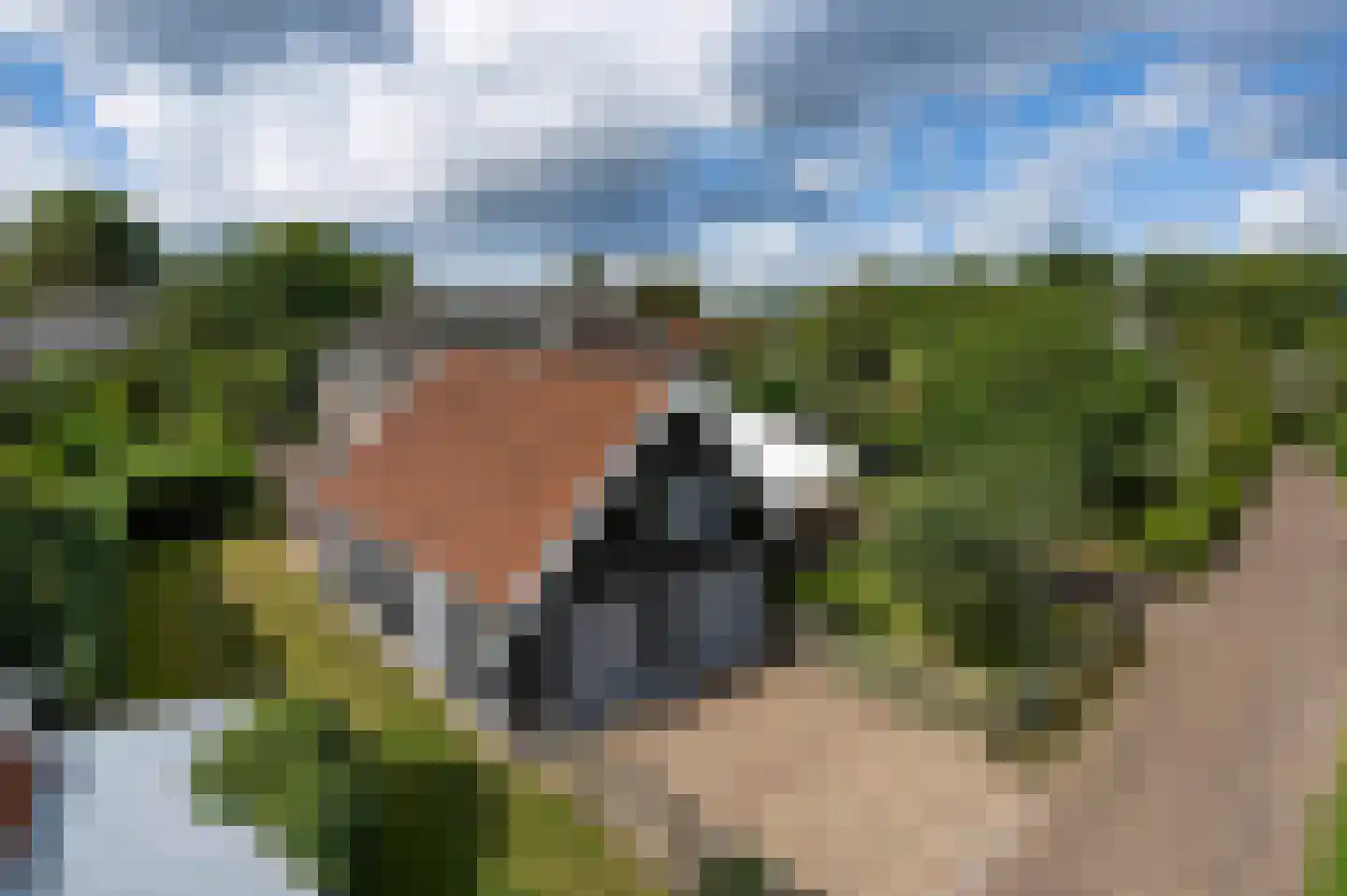 Langeweg 15 Blaricum thumbnail 43