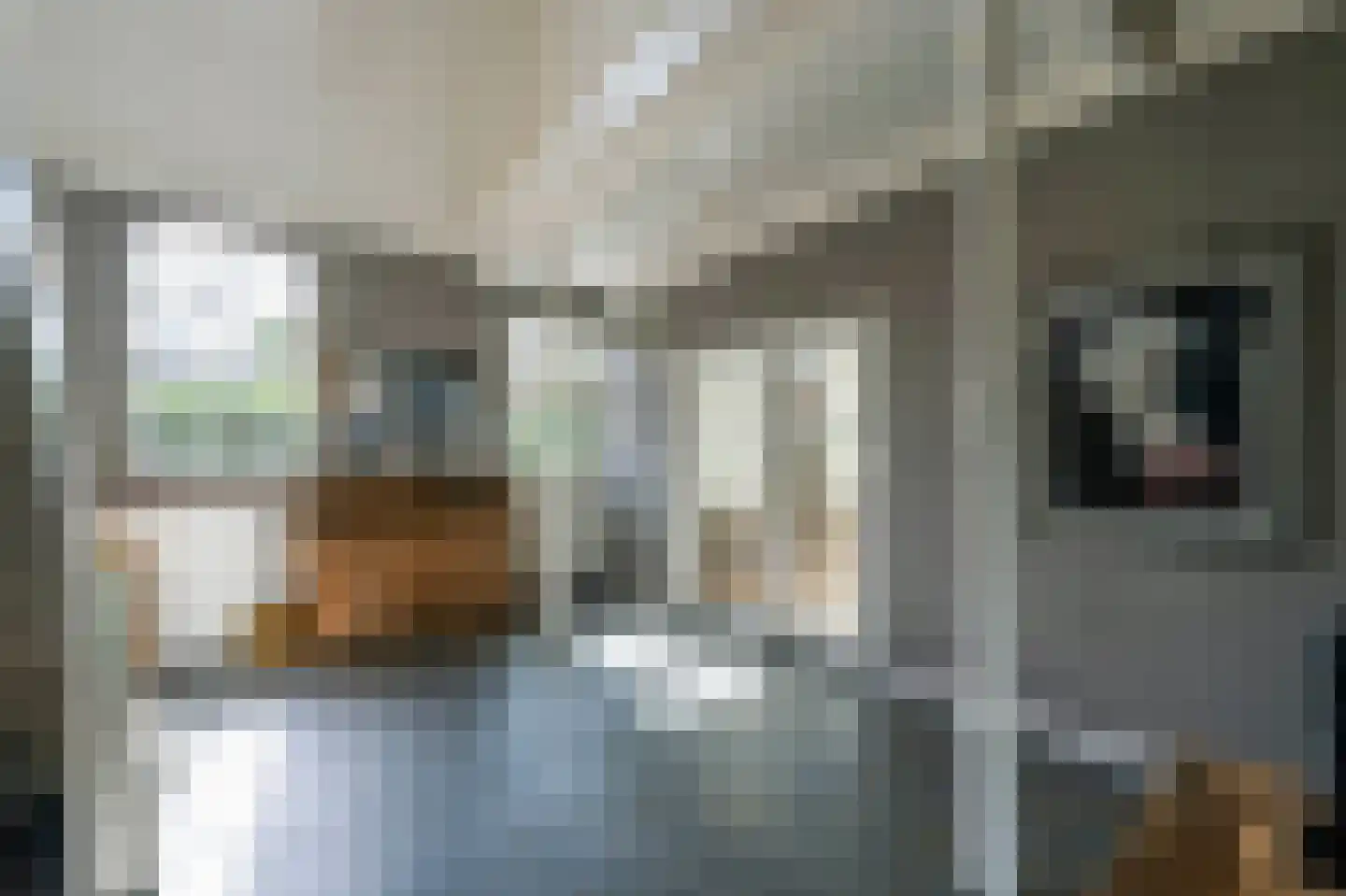 Langeweg 15 Blaricum thumbnail 6